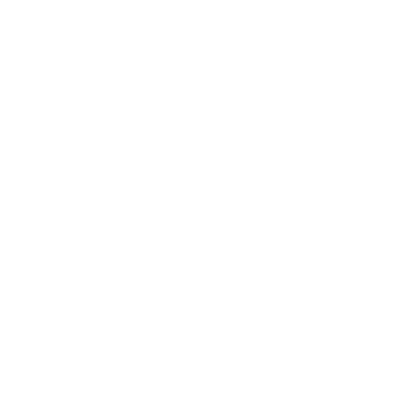 The Foccus