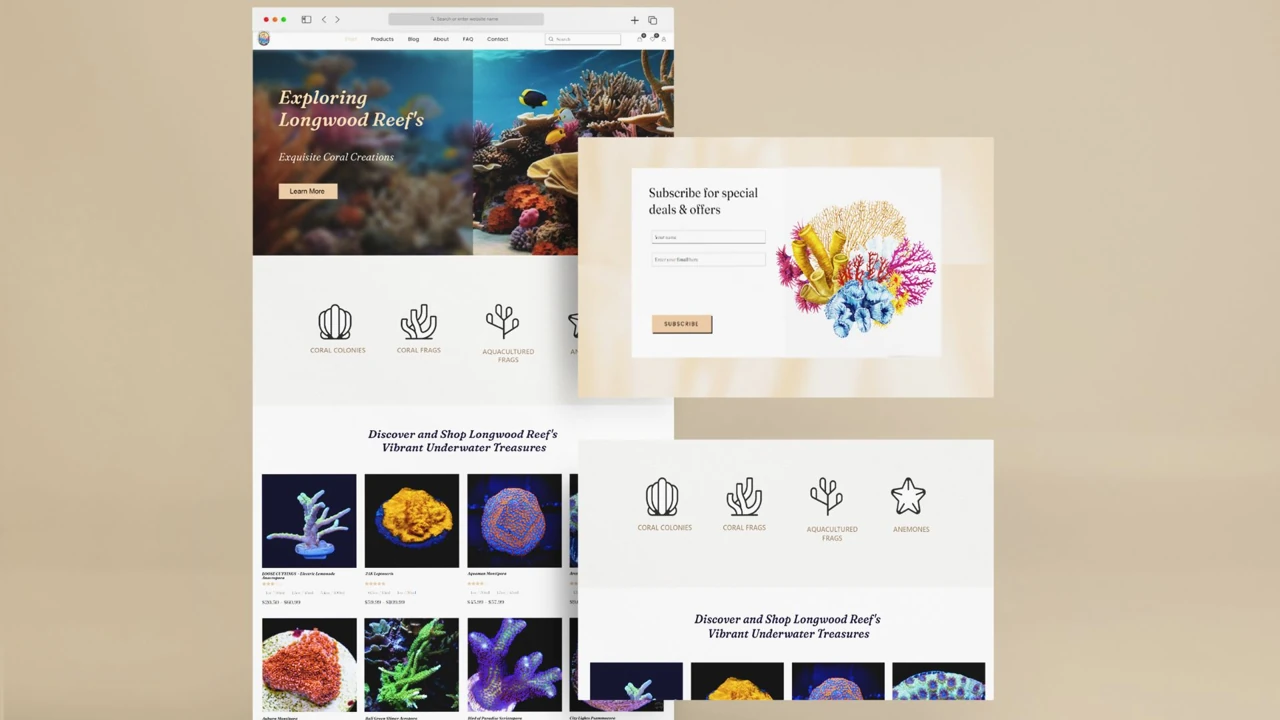 Longwood Reef & Coral website presentation — UI/UX portfolio by Hadi Hassan